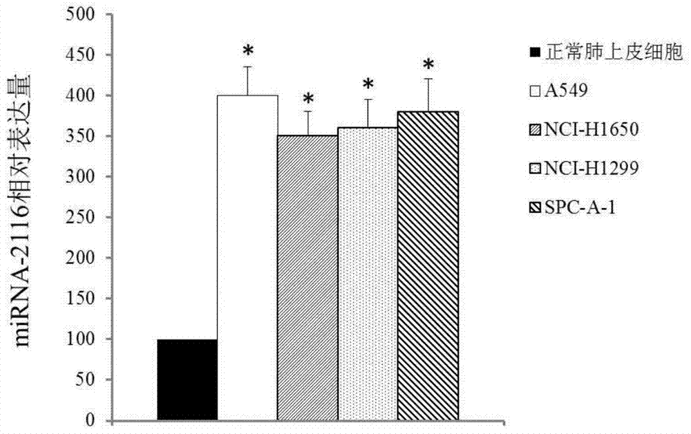 Lung adenocarcinoma miRNA marker