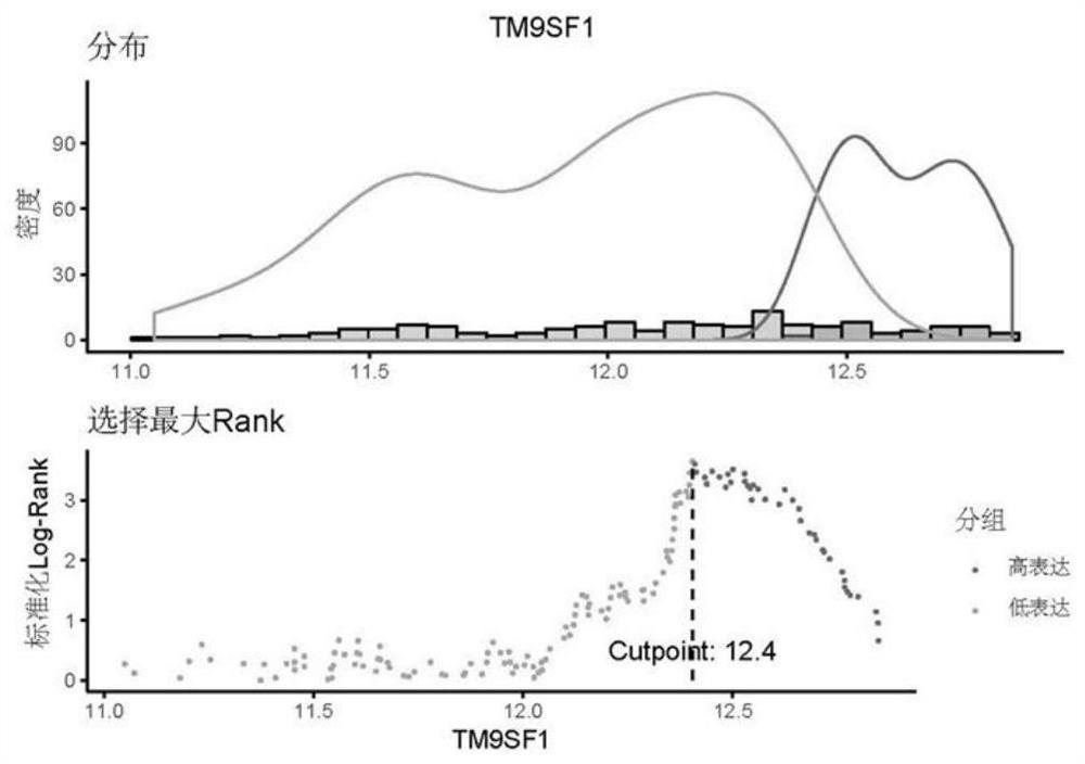 A prognostic early warning system for esophageal squamous cell carcinoma and its application