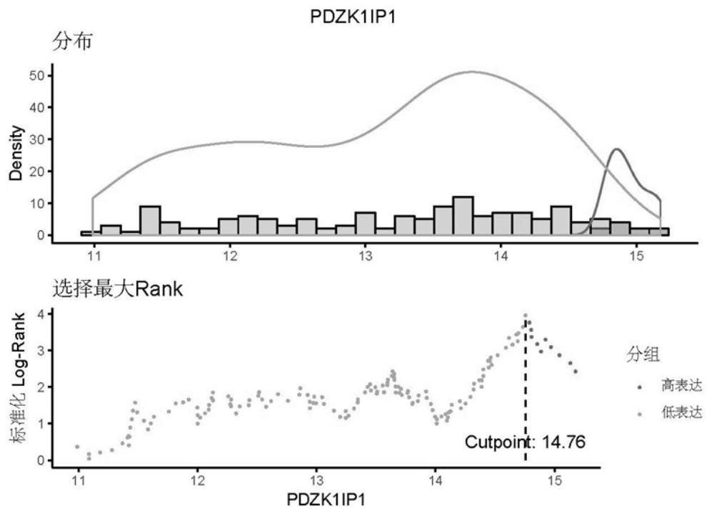 A prognostic early warning system for esophageal squamous cell carcinoma and its application