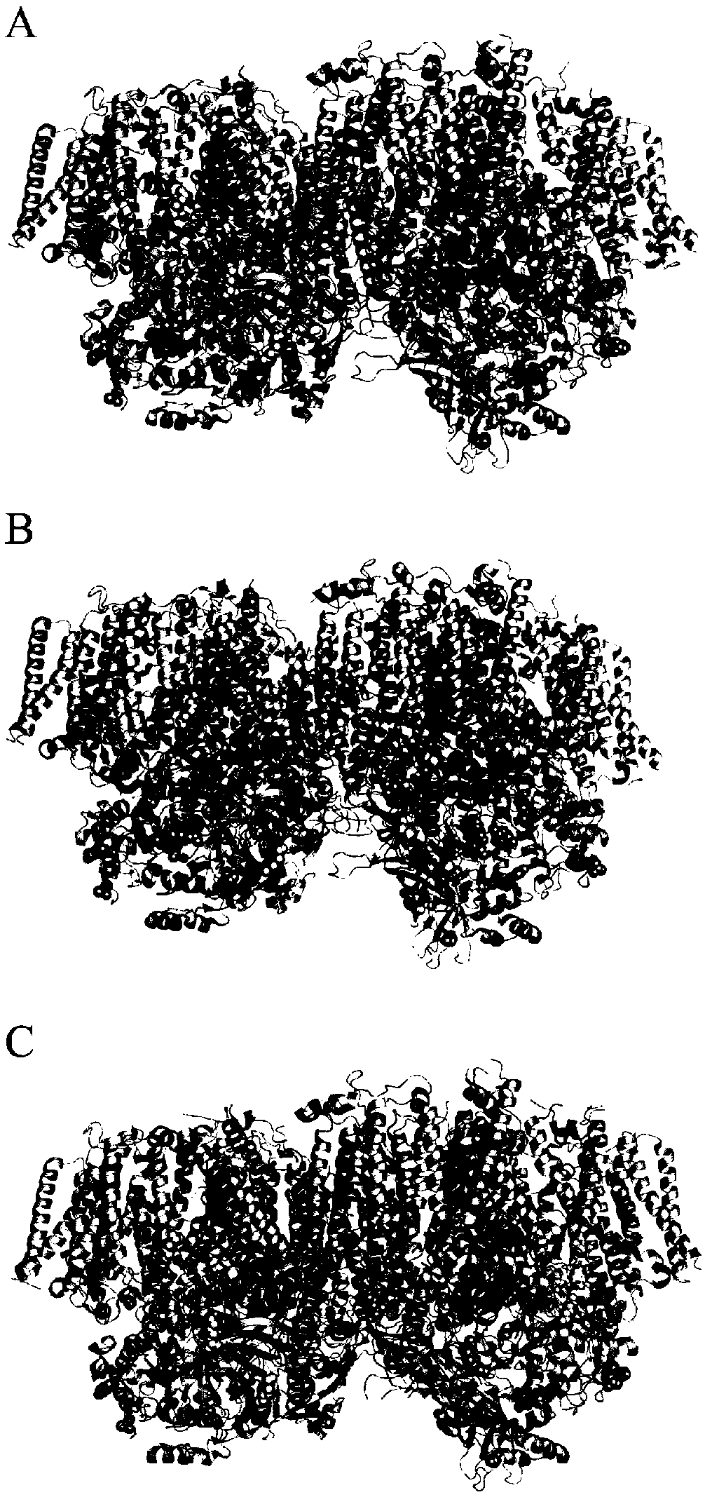 Chemical labeling and mass spectrometry-based structure analysis method for protein and material interaction