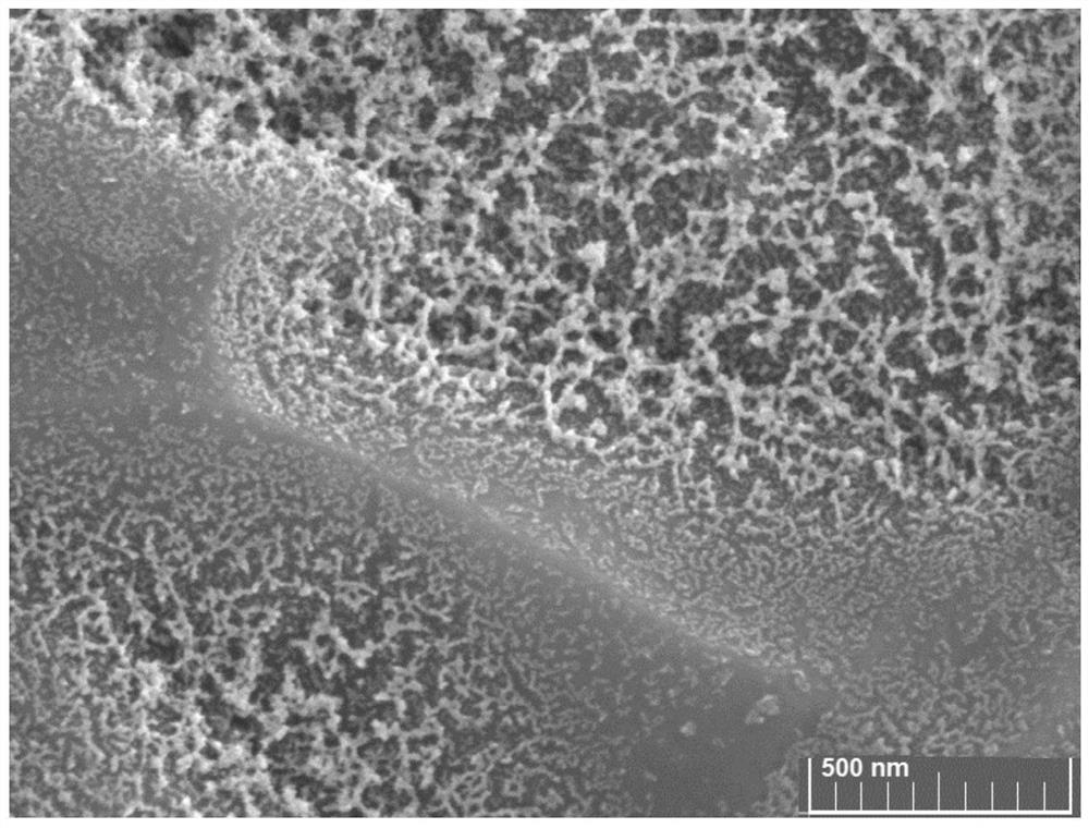 Catalytic electrode material and its preparation method and application, electrode and electrochemical cell