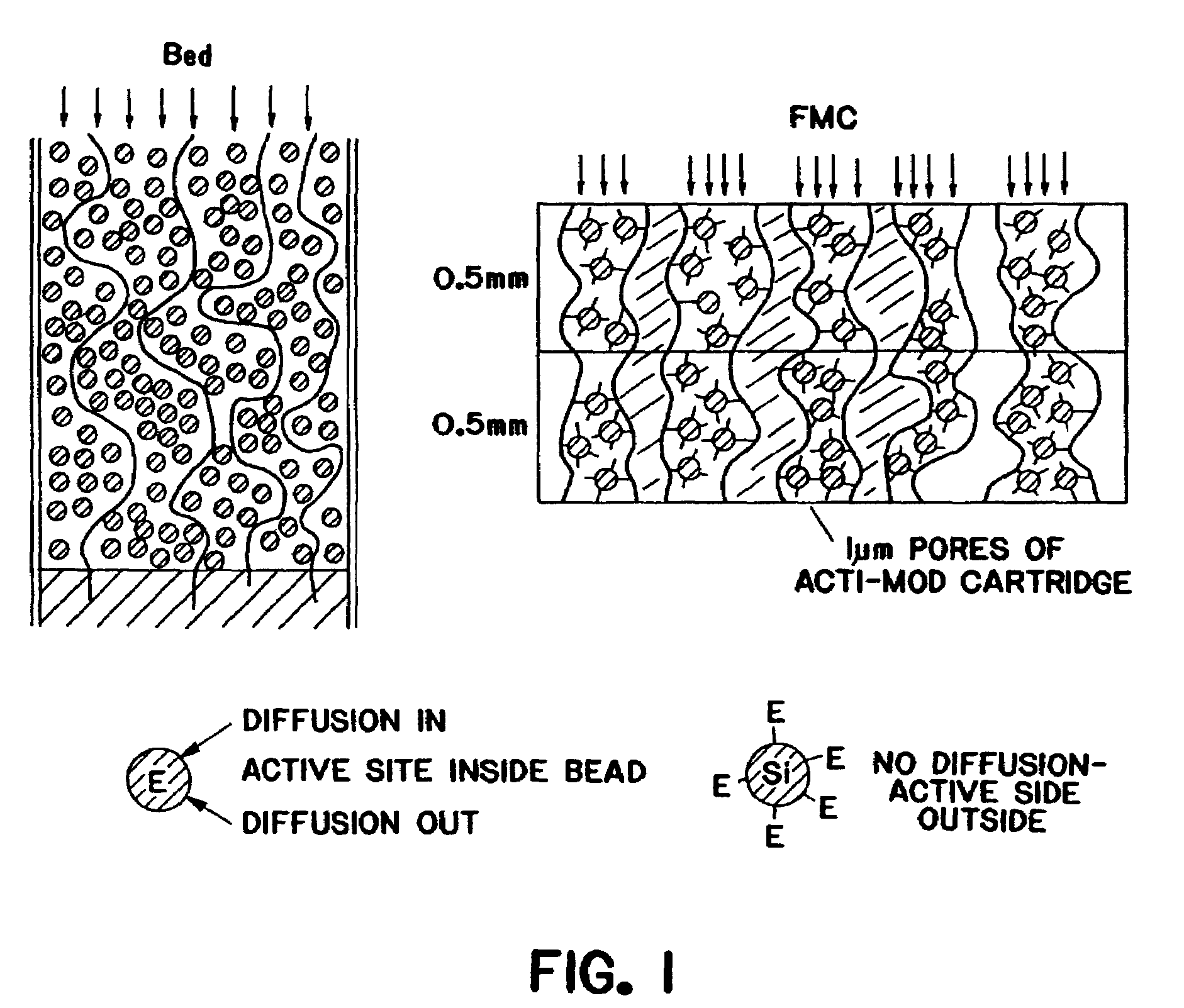 Purification of adenovirus and AAV