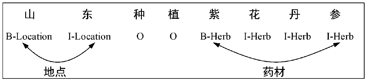 Traditional Chinese medicine planting resource named entity identification method