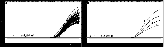 CRAS-PCR detection method of single base mutation of gene