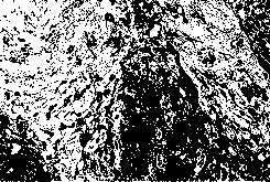 Preparation of monoclonal antibody for mouse anti-human type BRAF V600E mutant protein and immunohistochemical application of monoclonal antibody