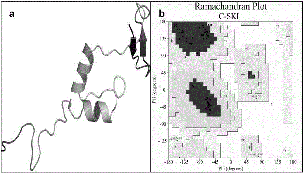 Compound for targeted ubiquitinated degradation of Smad3