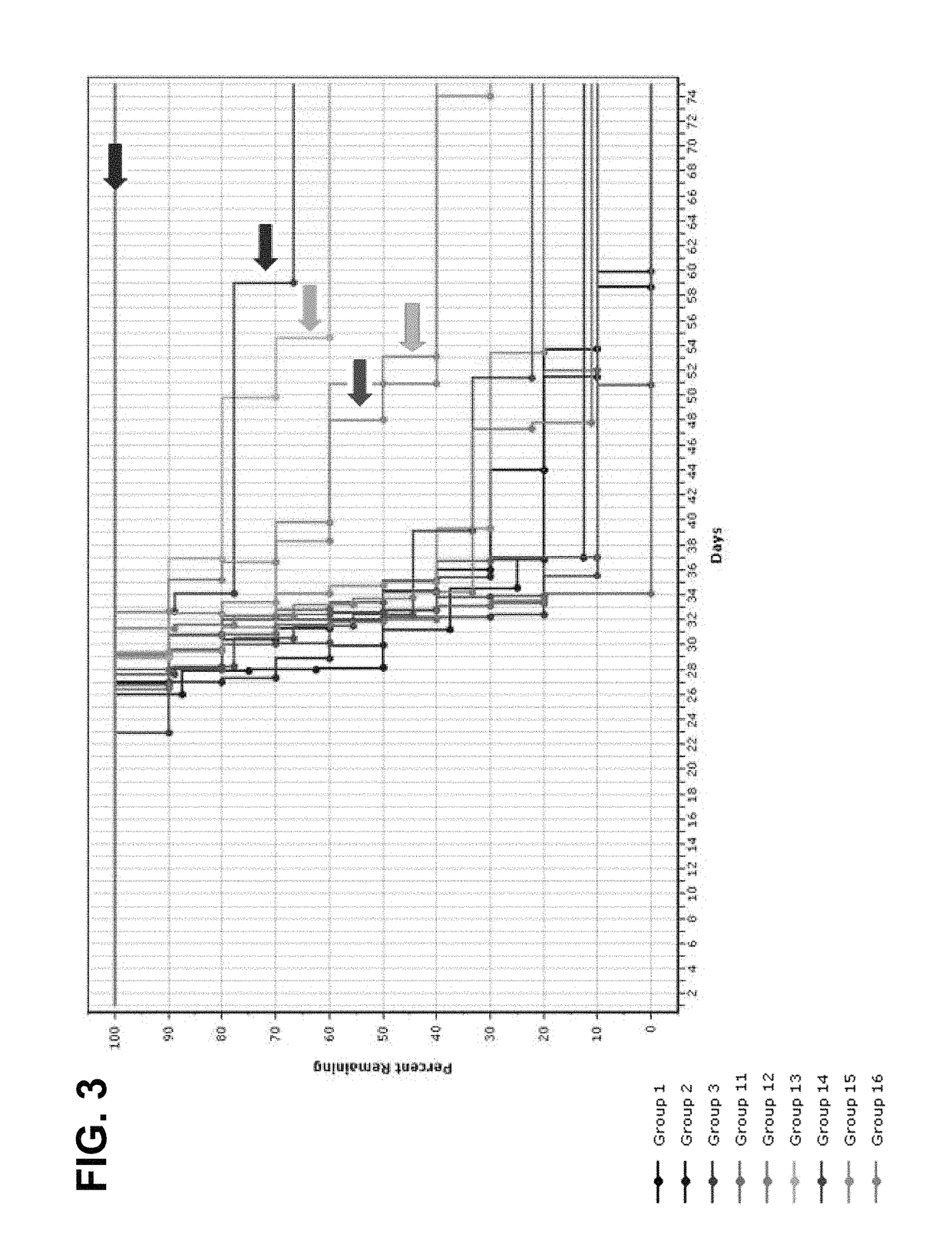 LPT-723 and immune checkpoint inhibitor combinations and methods of treatment