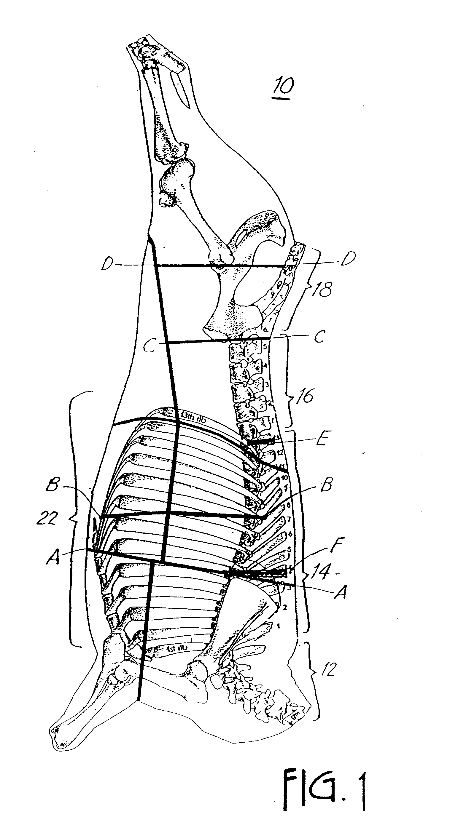 Method and Apparatus for Tenderizing Meat