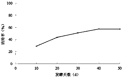 Method for preparing bamboo leaf ferment and bamboo leaf ferment beverage with bamboo leaf submicron powder