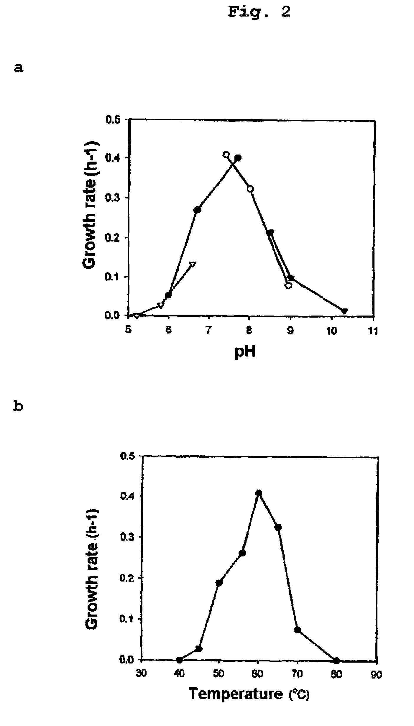 Obligately symbiotic thermophile symbiobacterium toebii SC-1 producing thermostable L-tyrosine phenol-lyase and L-tryptophan indole-lyase and a method for screening its relative bacteria