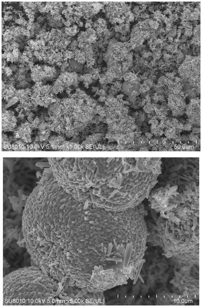 Mesoporous nanorod-like catalyst as well as preparation method and application thereof