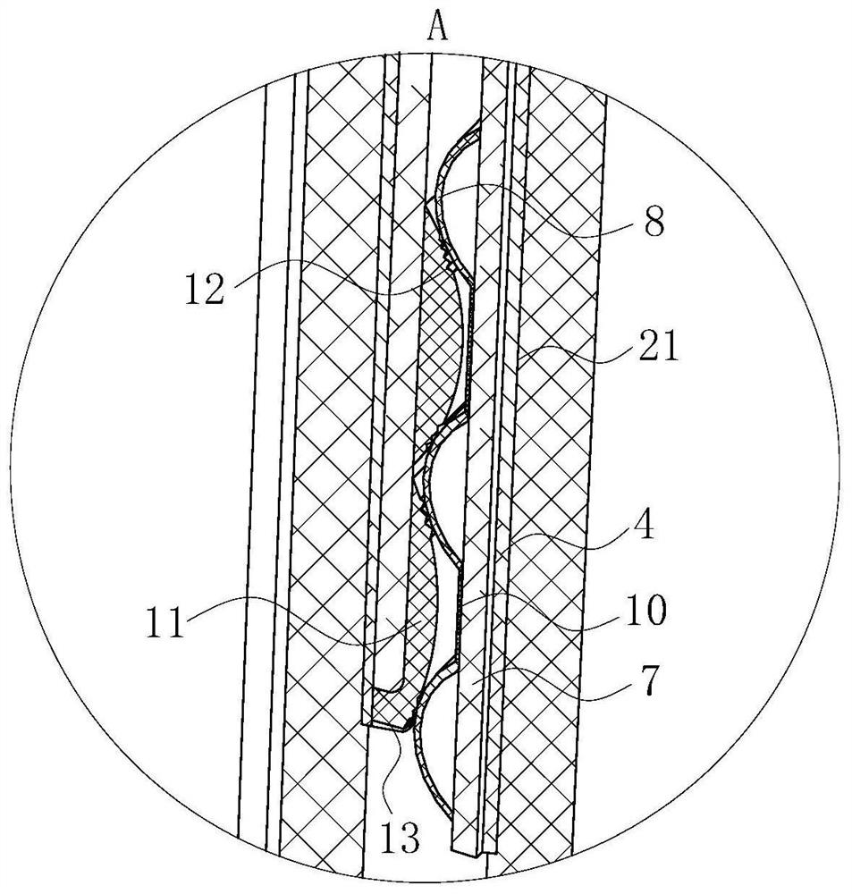 Compound amino acid capsule and preparation method thereof