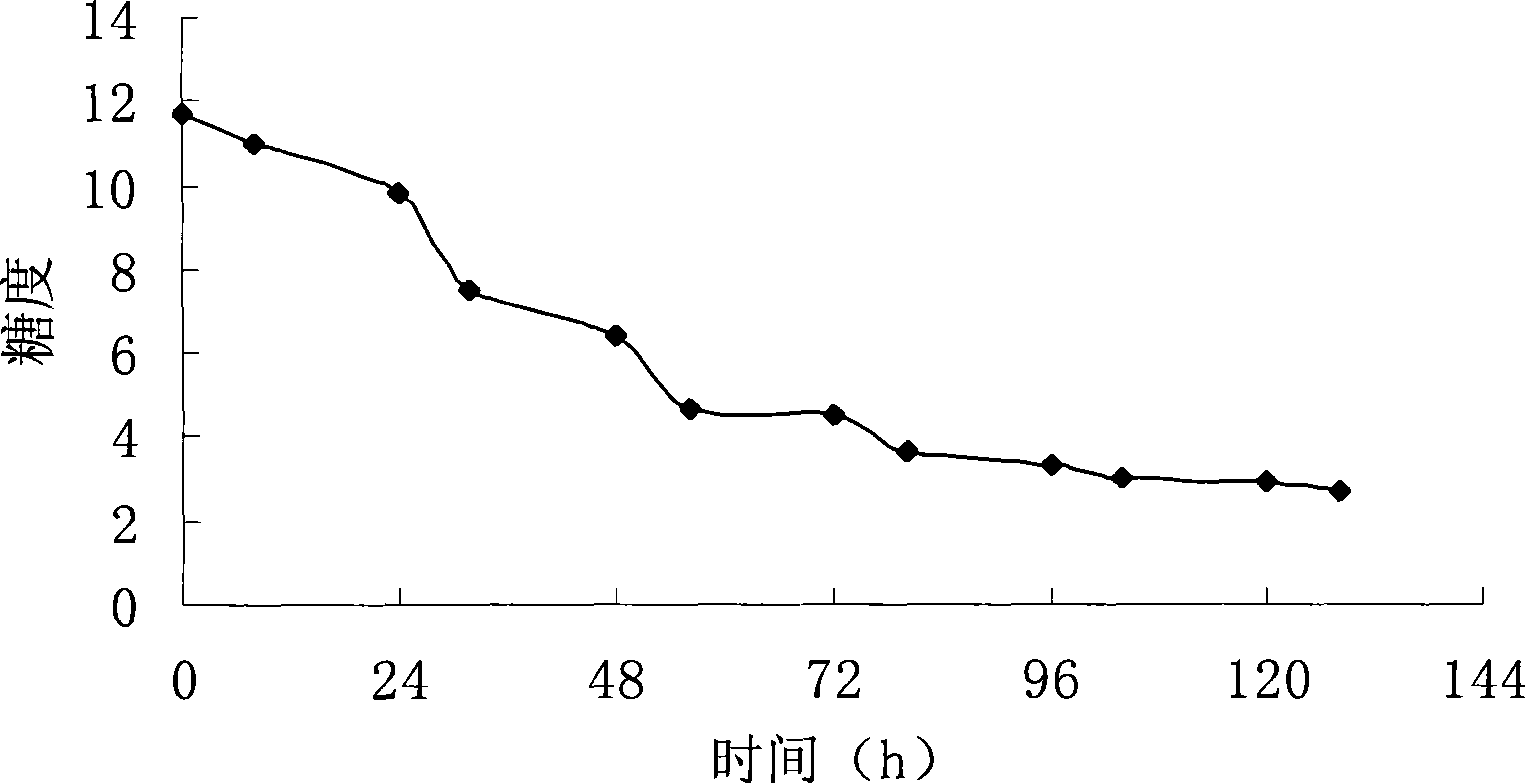 Enzyme composition and use thereof in beer brewing