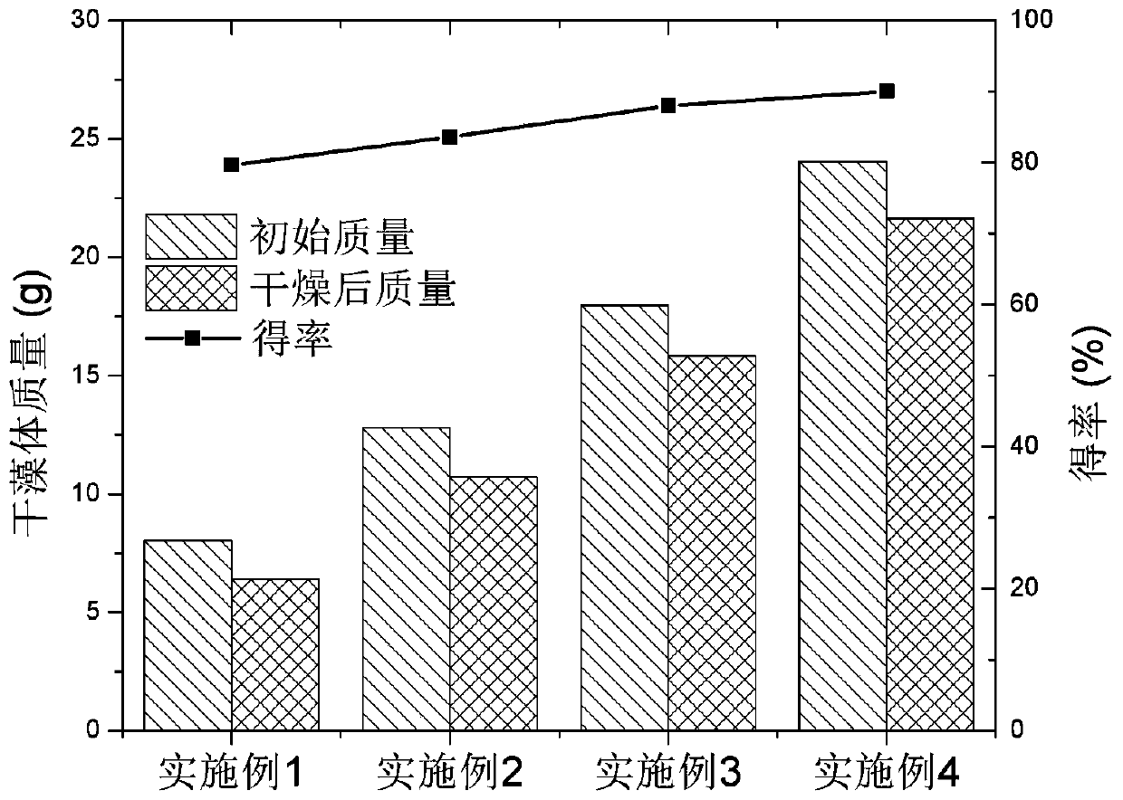 Method for extracting phycoerythrin with assistance of spray freeze dryer