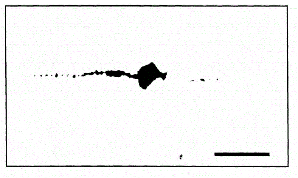 Method for producing high-purity stainless steel