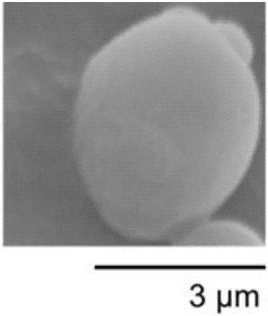 Live yeast cell facial mask as well as preparation method and application method thereof