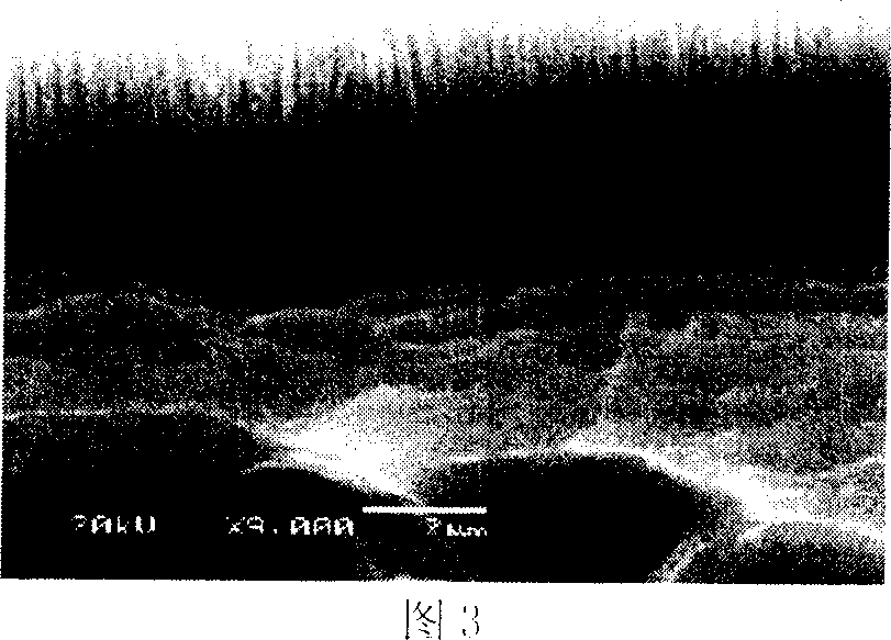 Toughness porous anodic aluminium oxide film and preparation method thereof