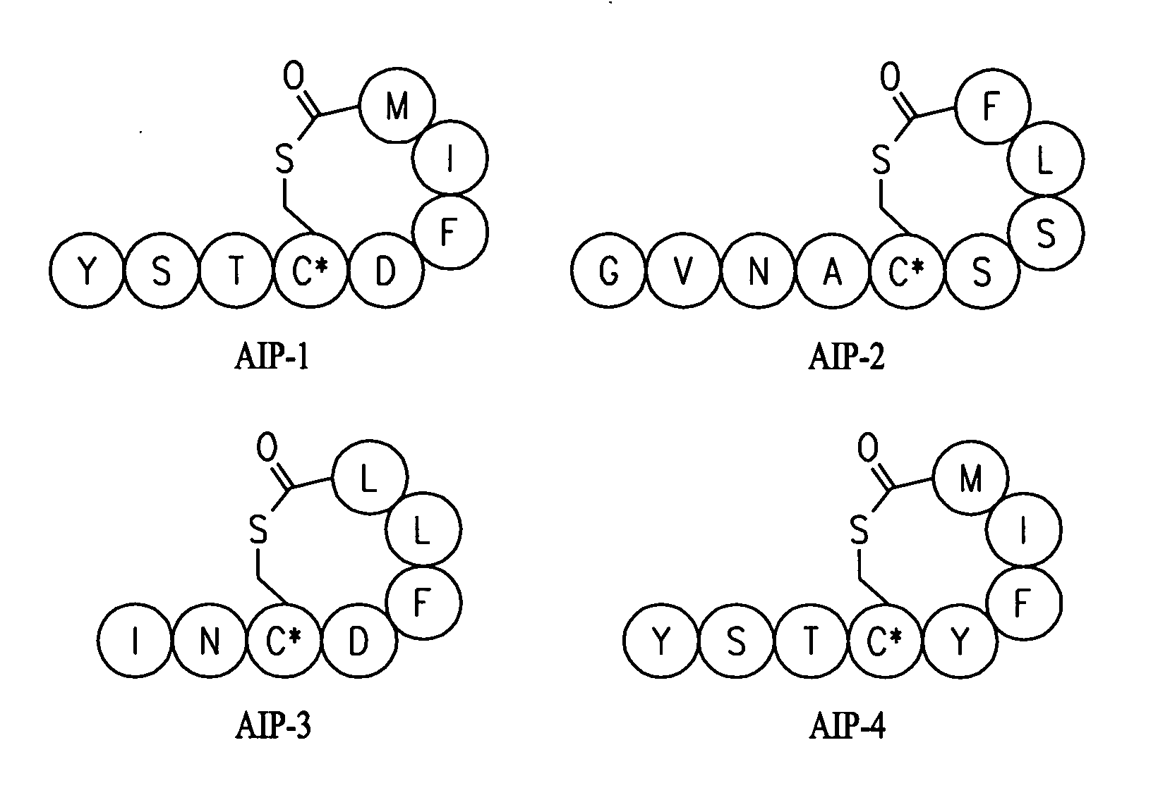 Antibody-mediated disruption of quorum sensing in bacteria