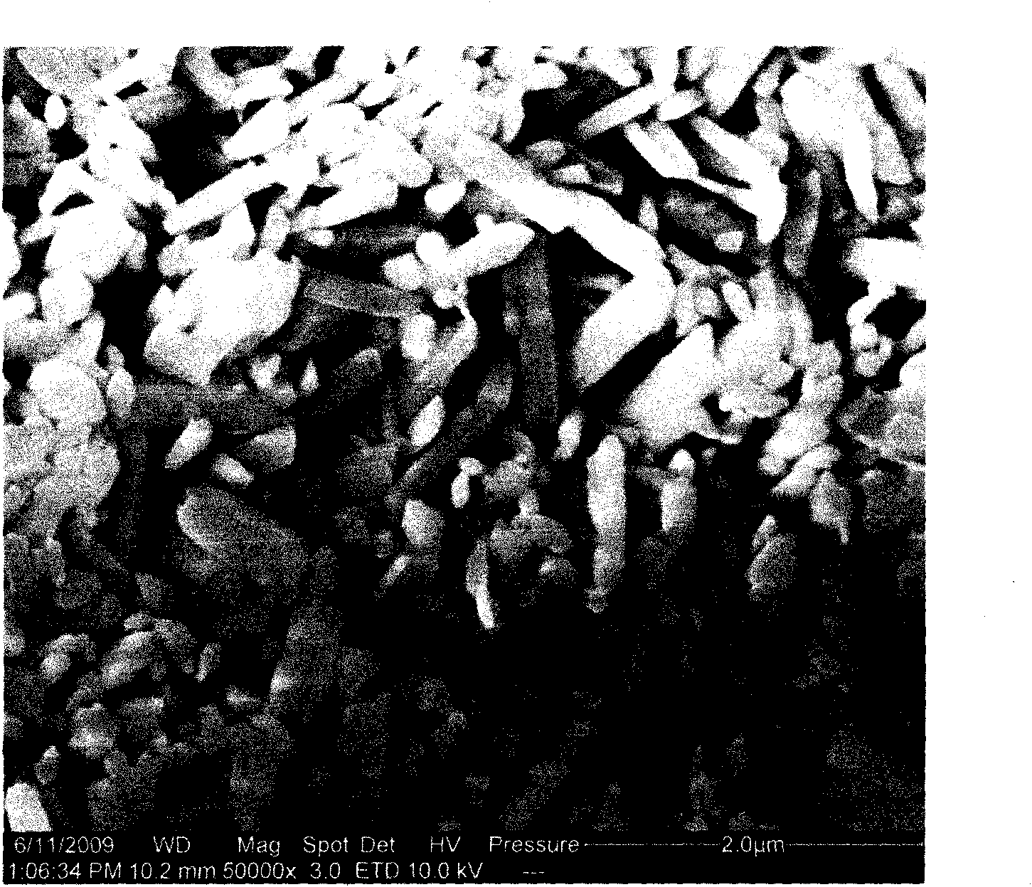 Synthesis method of nano fibrous mordenite