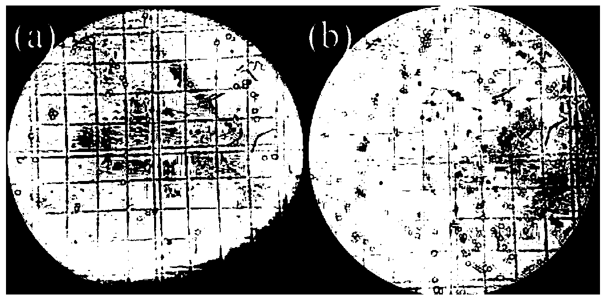 Method for improving quality of mechanized Shaoxing rice wine