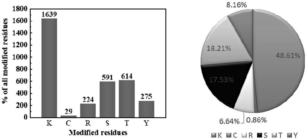 Method for marking protein