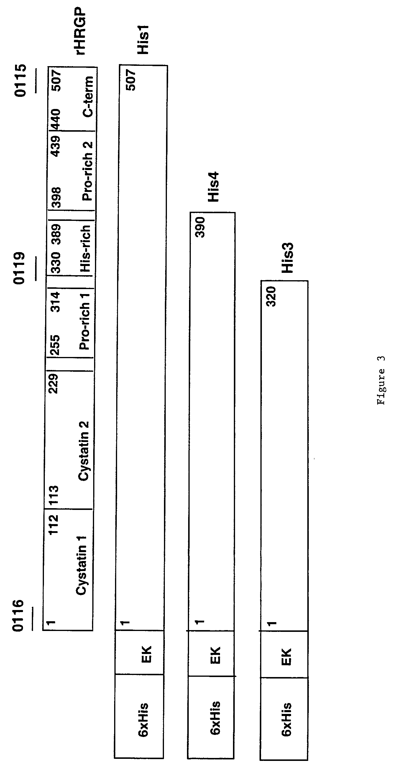 Histidine-rich glycoprotein