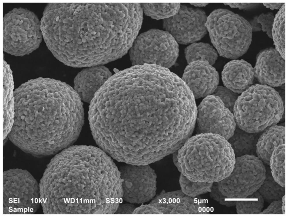 Mg/Ti co-doped Li3PO4 coated high-nickel ternary positive electrode material and preparation method thereof