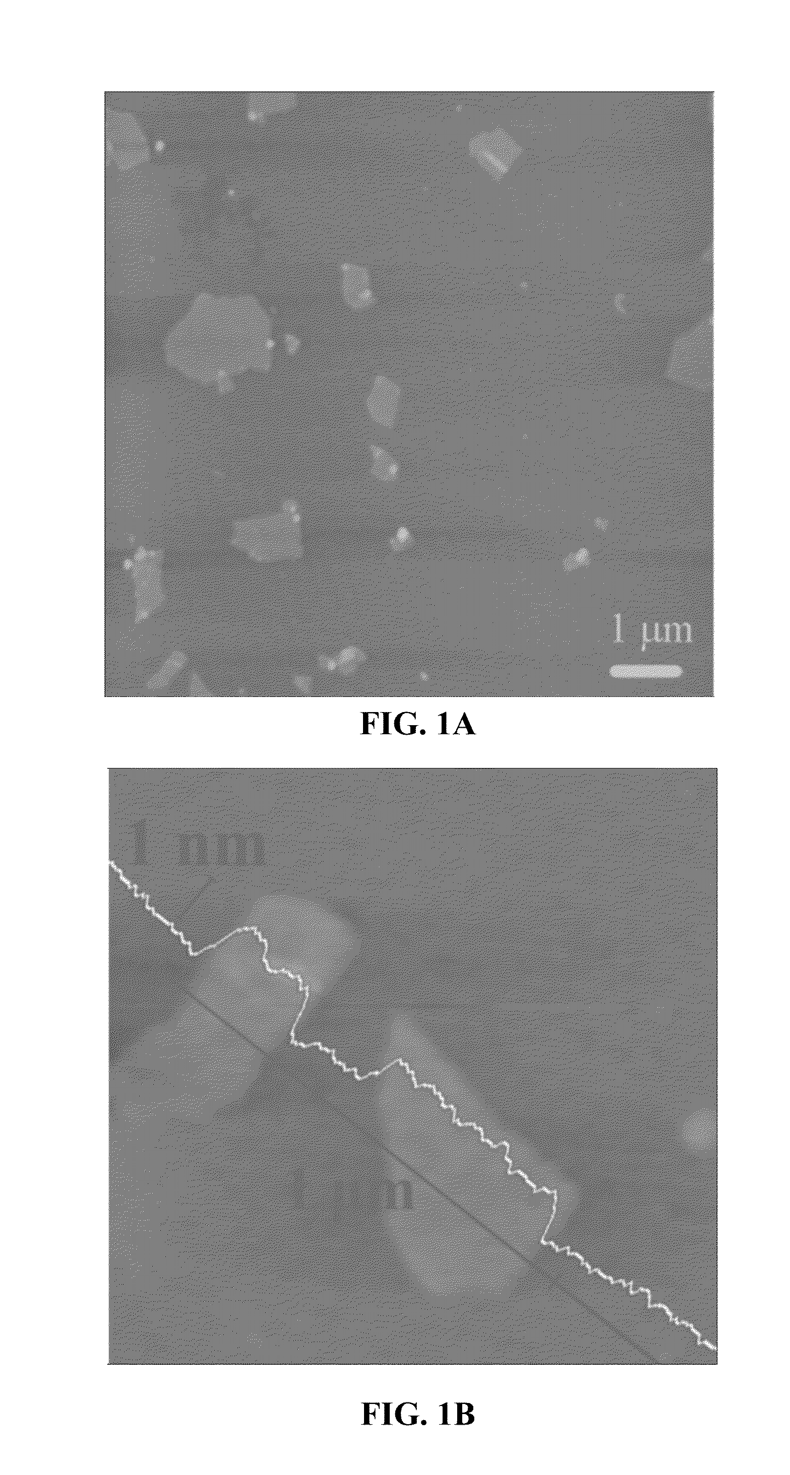 Process for preparing completely delaminated graphene oxide/rubber nanocomposite