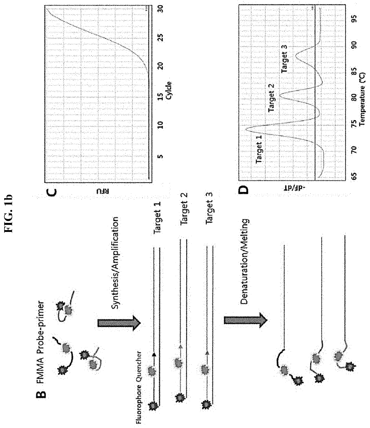 Multiple analysis method for amplicon by using fluorescence-based multiple melting analysis