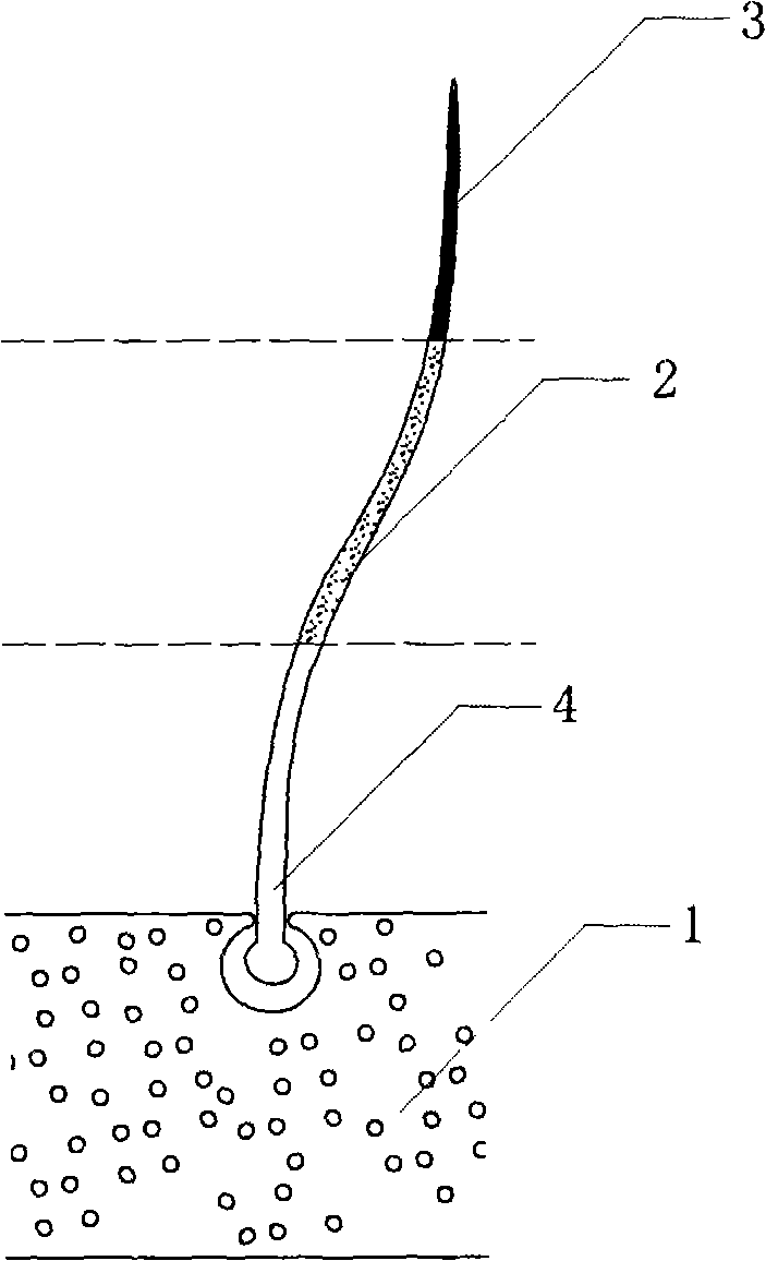 Method for processing fur facing material design and colour