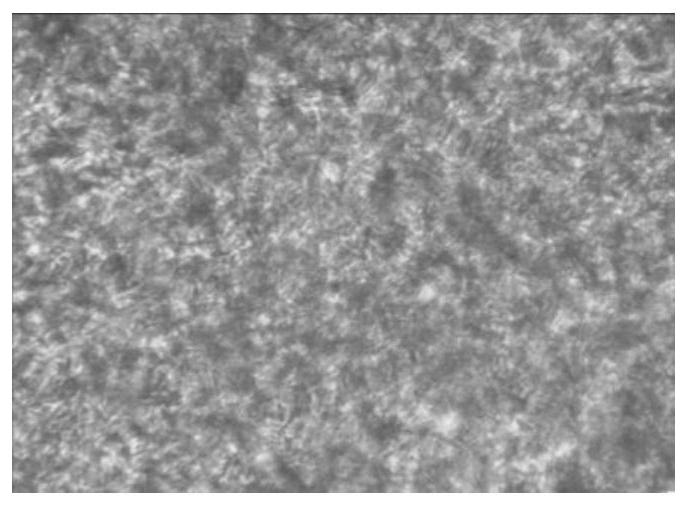 Sidewall rubber composition resistant to early wax spraying in high humidity and heat environment and preparation method thereof