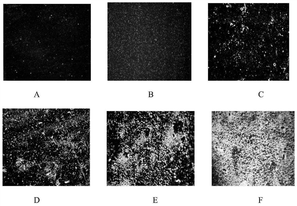 Sidewall rubber composition resistant to early wax spraying in high humidity and heat environment and preparation method thereof