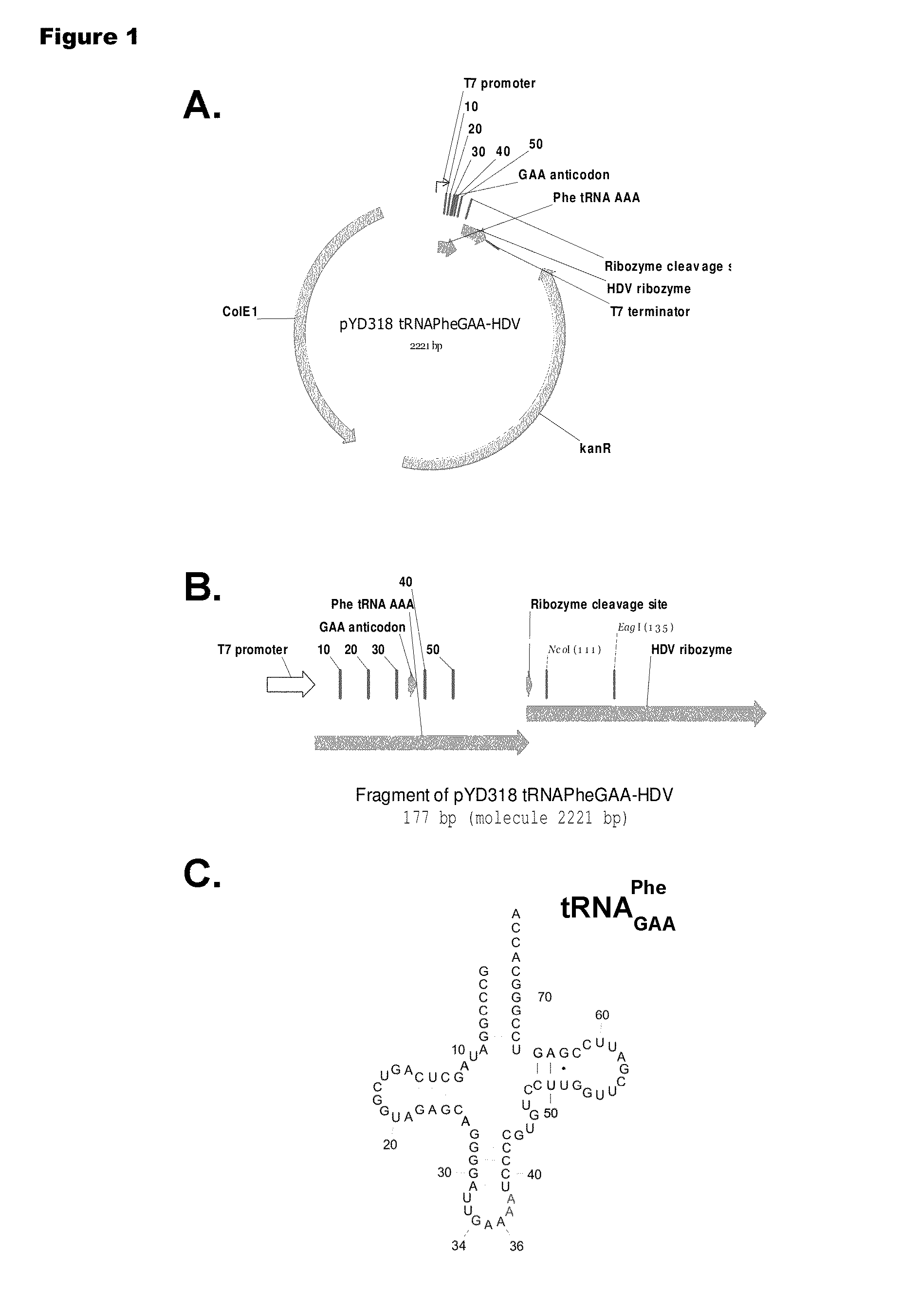 Mono charging system for selectively introducing non-native amino acids into proteins using an in vitro protein synthesis system