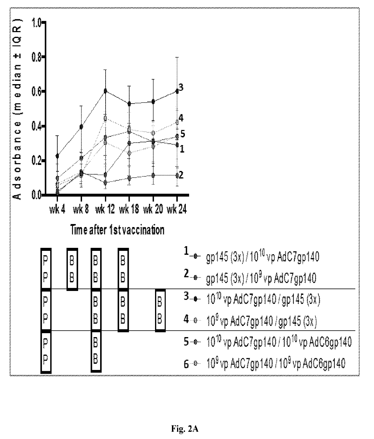 Compositions and methods of replication deficient adenoviral vectors for vaccine applications