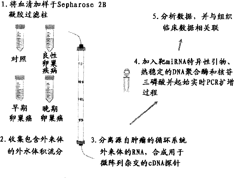 Exosome-associated microRNA as a diagnostic marker