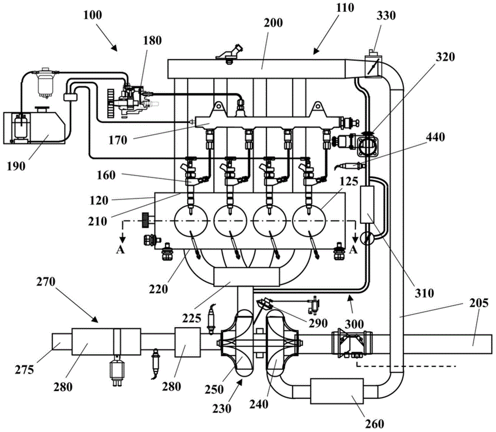 Oil drain plug and socket