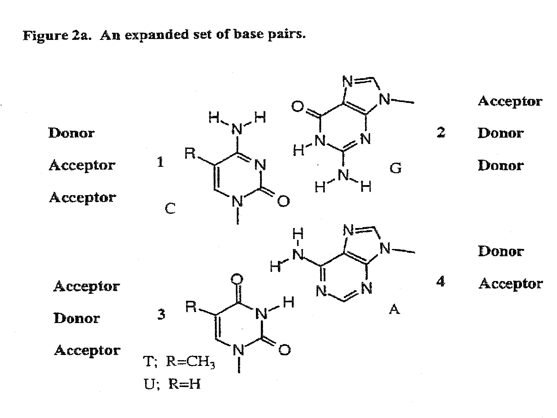 Templated molecules and methods for using such molecules