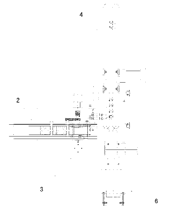 Automatic bagging machine for chicken claws