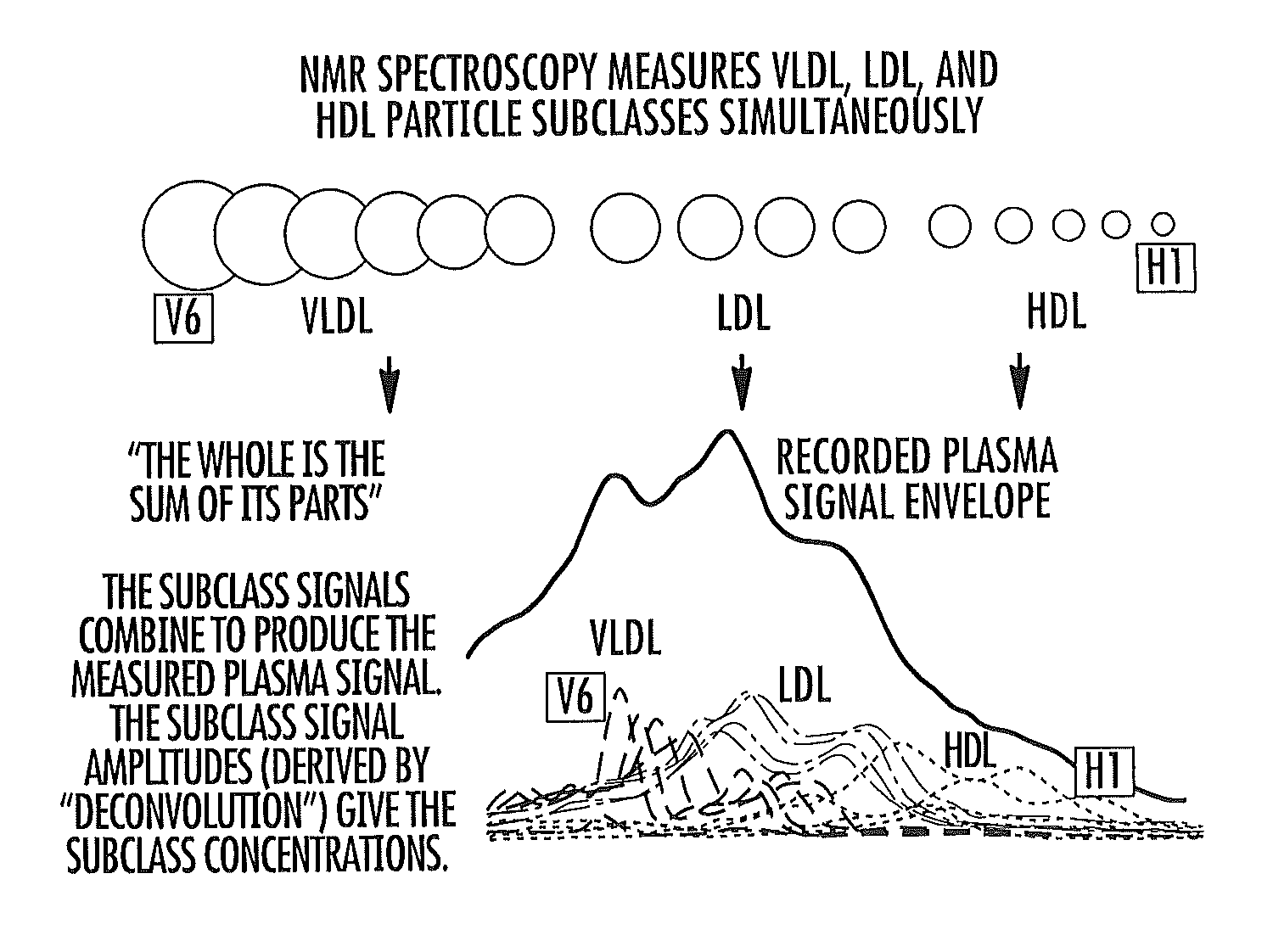 Protective HDL particle number evaluations