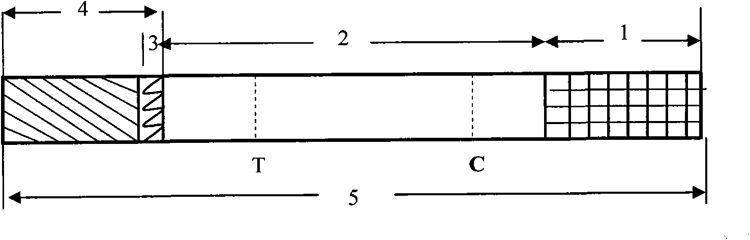 Colloidal gold detection test paper for ricin, preparation method thereof and application thereof