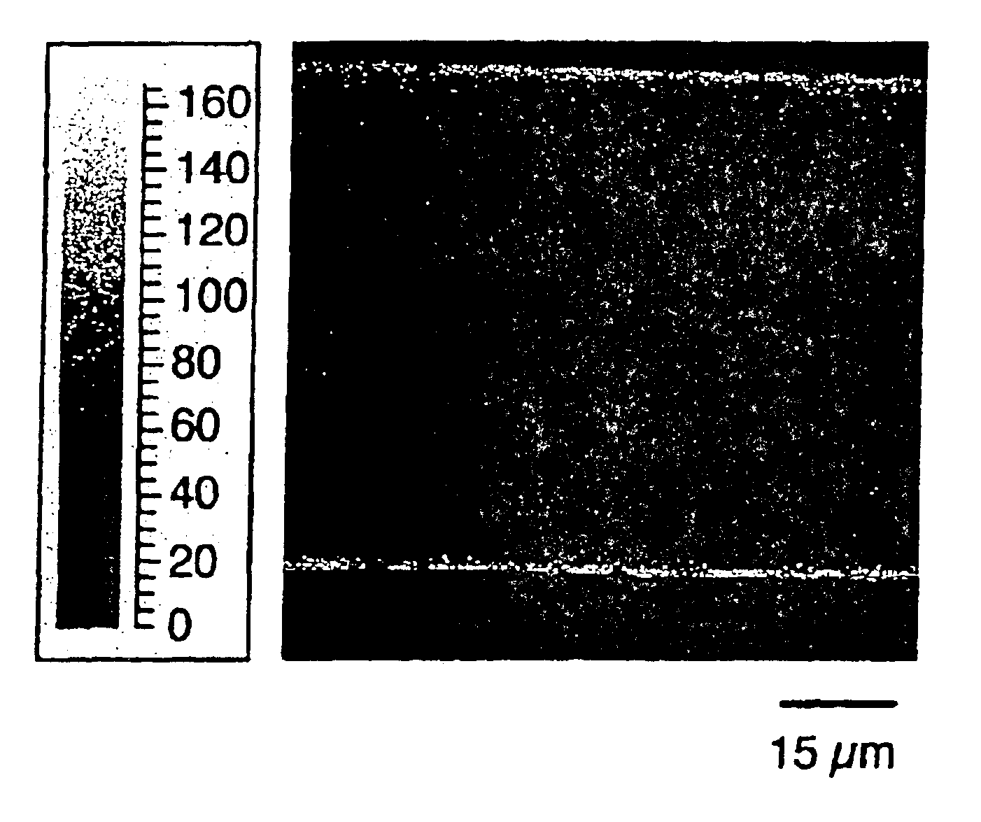 Detergent composition with enhanced depositing, conditioning and softness capabilities