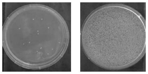 Quaternary ammonium salt type dendritic polythioether modified polymer microsphere