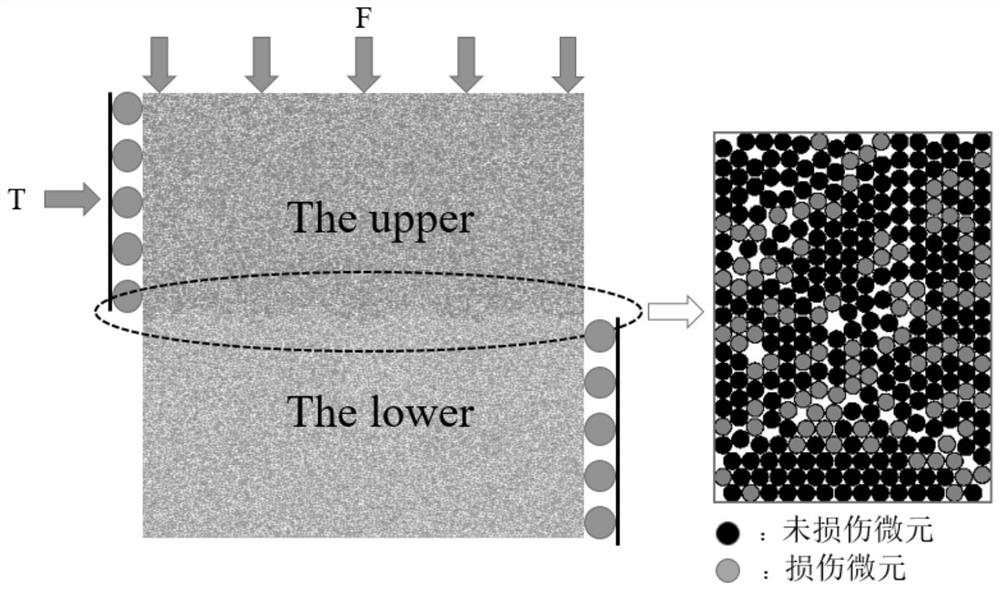 A Method for Improving the Constitutive Model of Shear Damage of Structural Plane with Harris Distribution