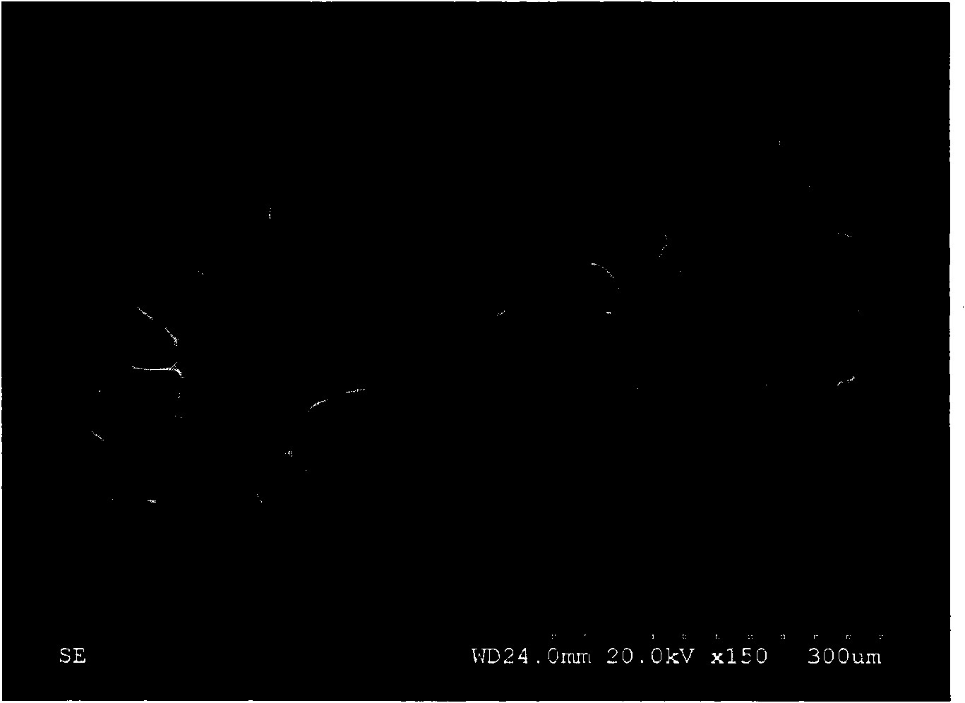 Method for culturing hepatic cells on a large scale