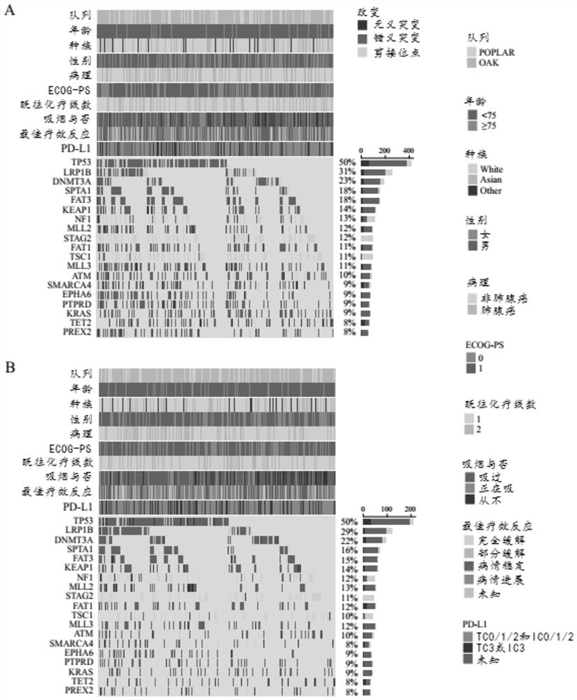 Nomogram model for predicting curative effect of tumor immunotherapy and establishment method thereof