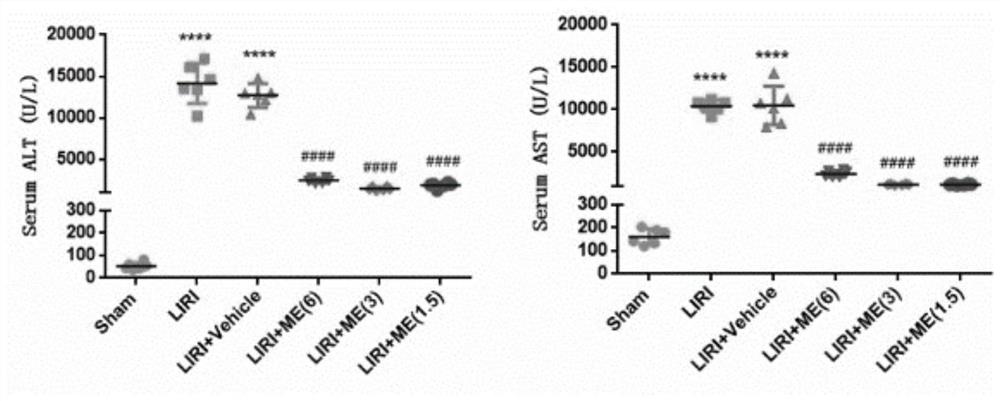 Application of methyleugenol in preparation of medicine for relieving hepatic ischemia-reperfusion injury