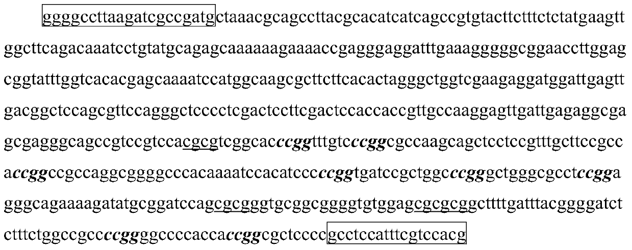 Primer and method for rapidly detecting methylation level of wheat photoperiod gene Ppd-B1 and applications thereof