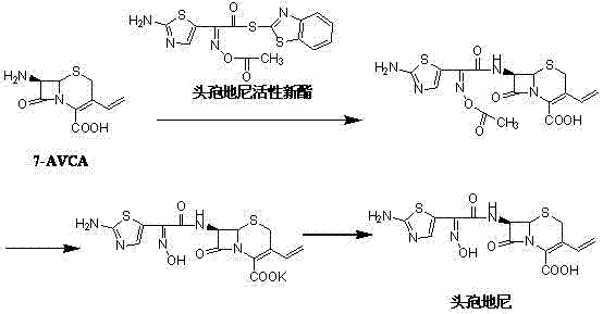 Preparation method of cefdinir