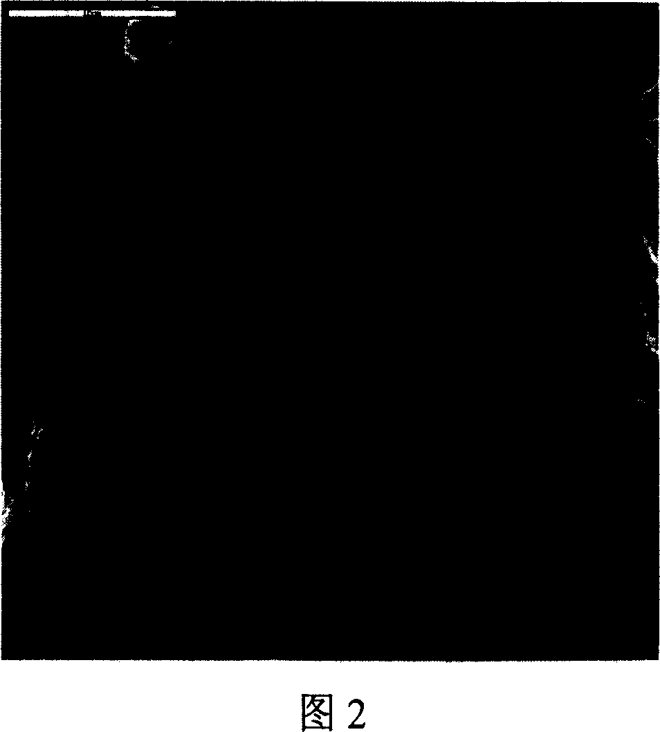 Antibacterial type blended electro spinning nanometer fiber membrane biological dressing and the preparing method thereof