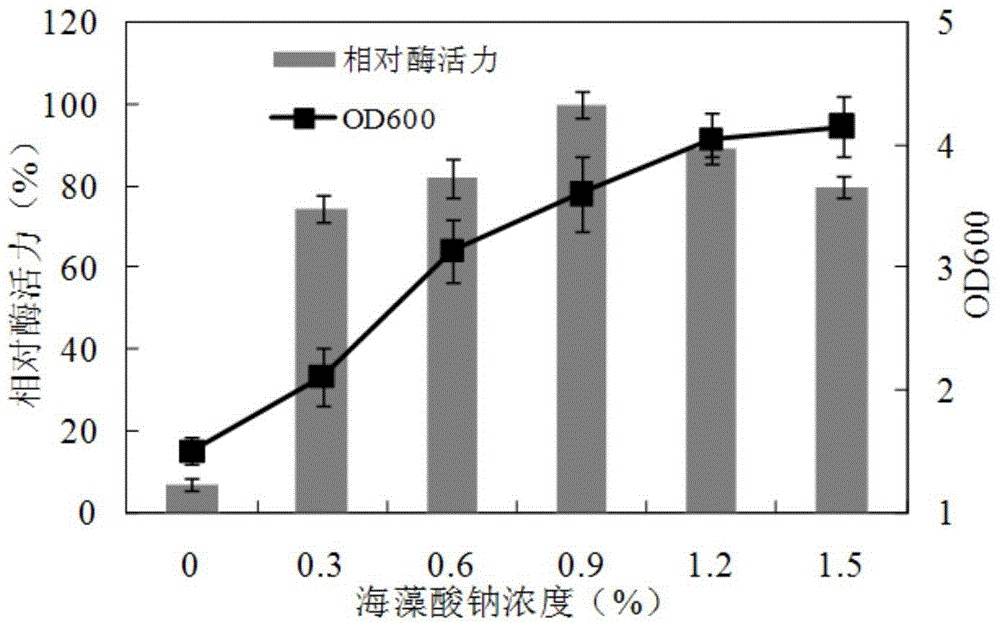 A strain of Bacillus producing alginate lyase and its application